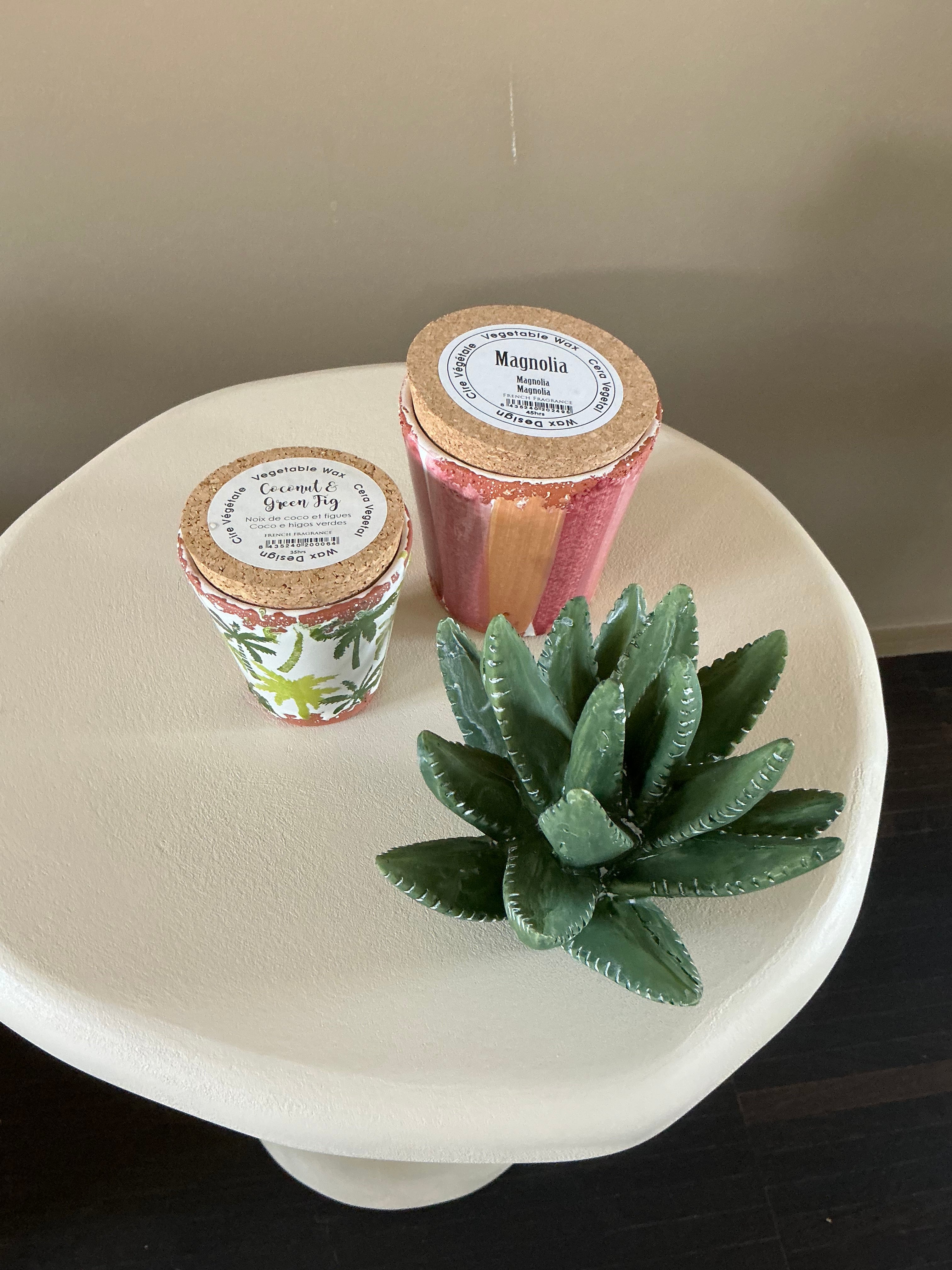 Candle coconut& green fig