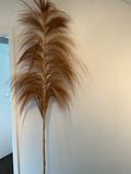 Large decorative feather