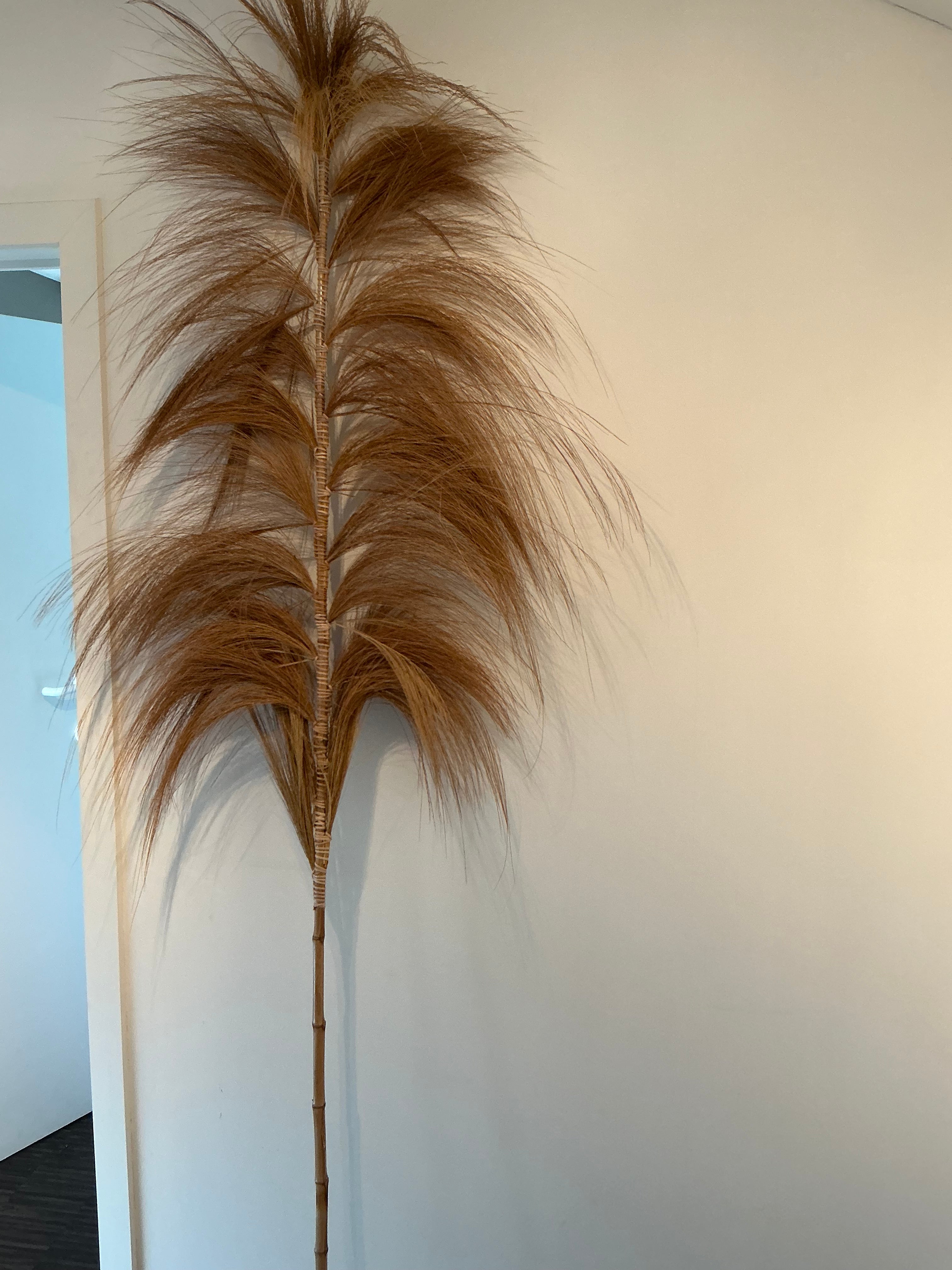Large decorative feather