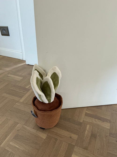 Cactus deurstopper