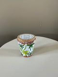 Candle coconut& green fig