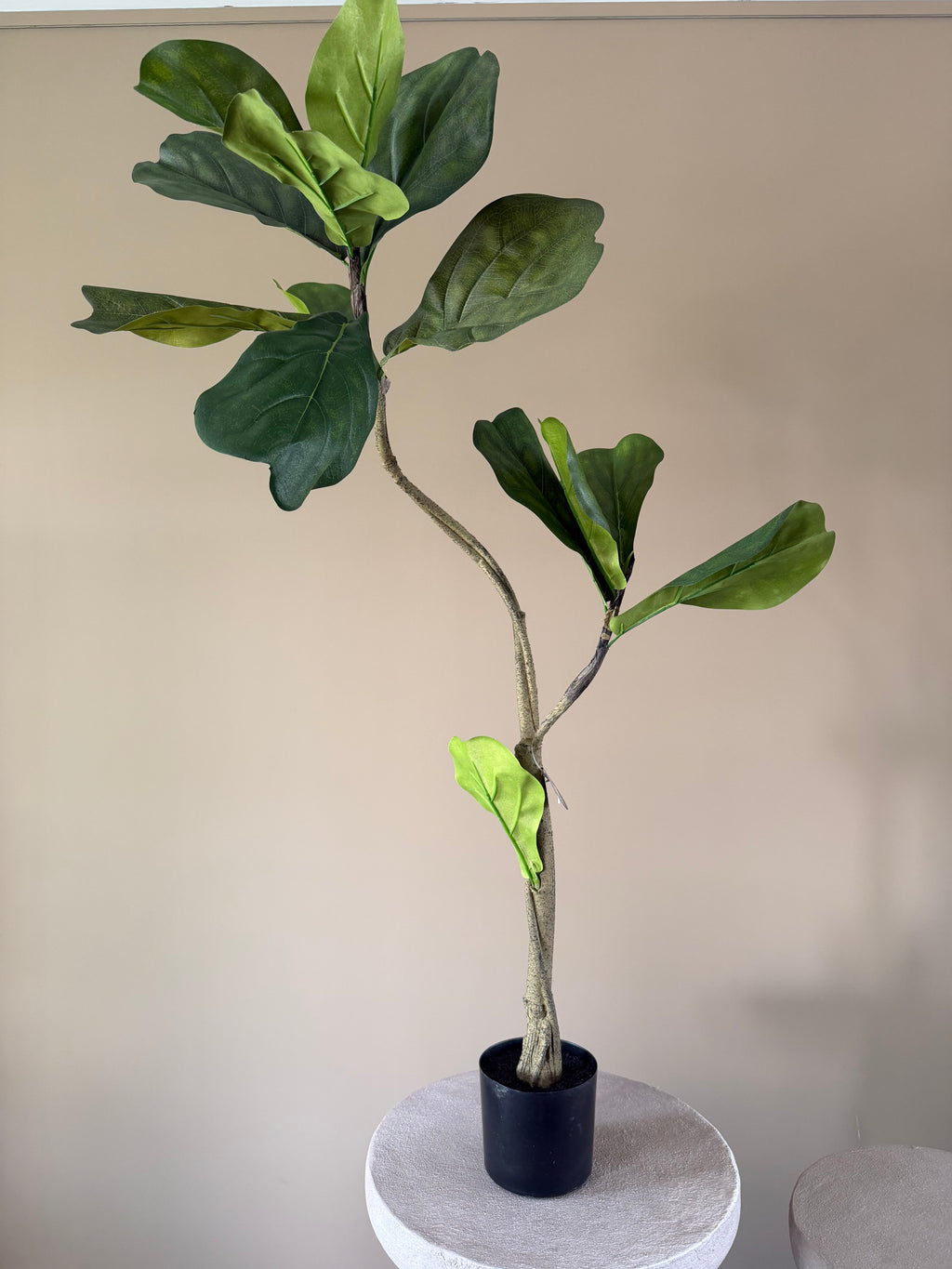 Kunst tabakplant